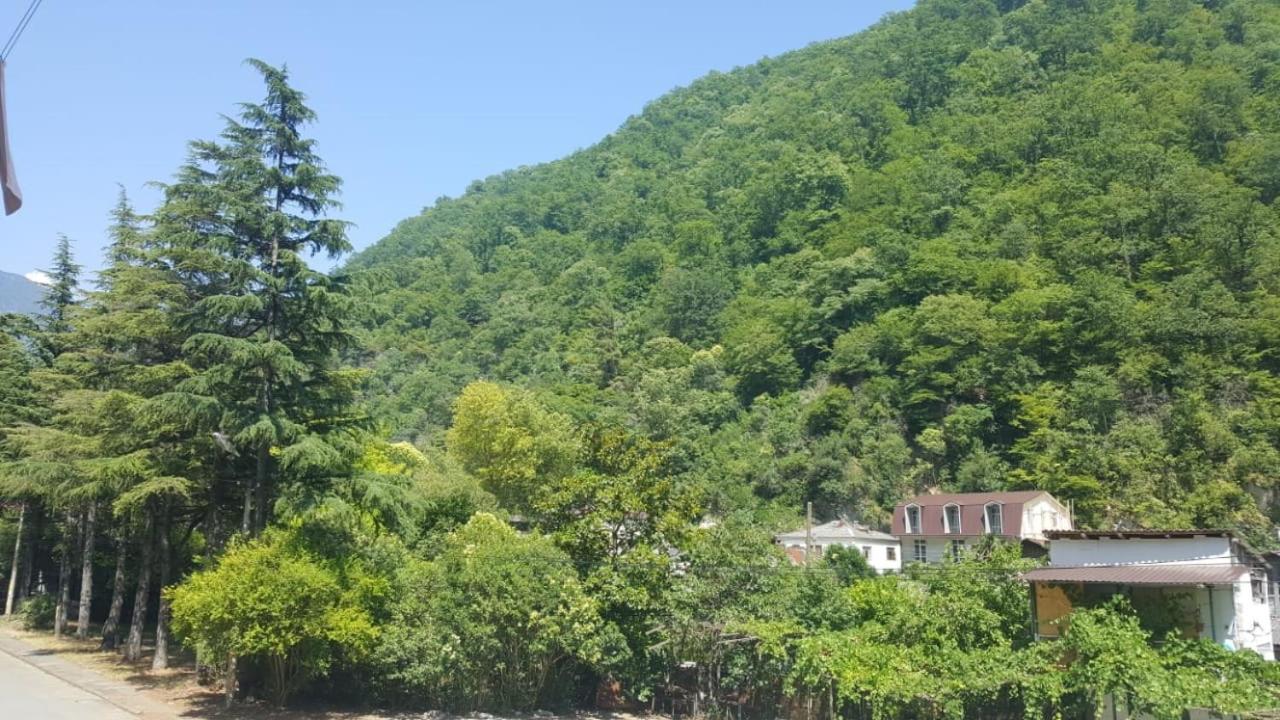 Guest House Gorny Ruchei Gagra Exterior photo